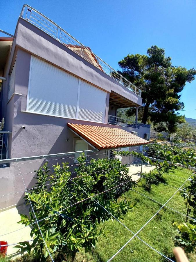 Guesthouse Eirini Porto Germeno Екстериор снимка